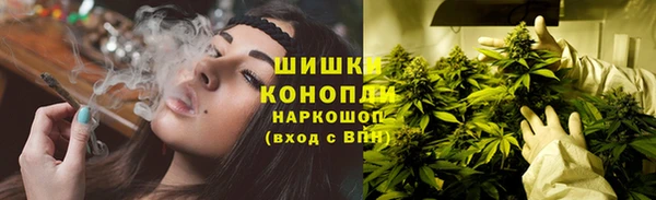 ECSTASY Пересвет