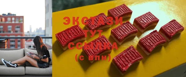 ECSTASY Пересвет