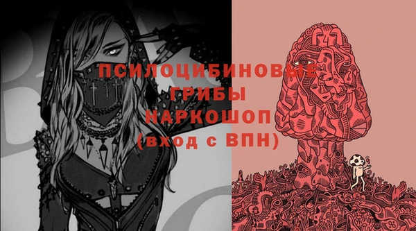 дурь Переславль-Залесский