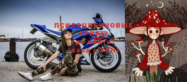ECSTASY Пересвет