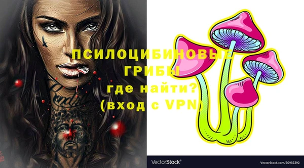 таблы Пестово