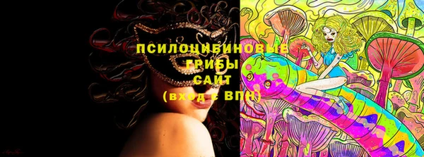 дурь Переславль-Залесский