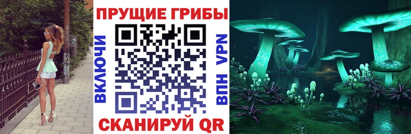 Псилоцибиновые грибы GOLDEN TEACHER  Ртищево 
