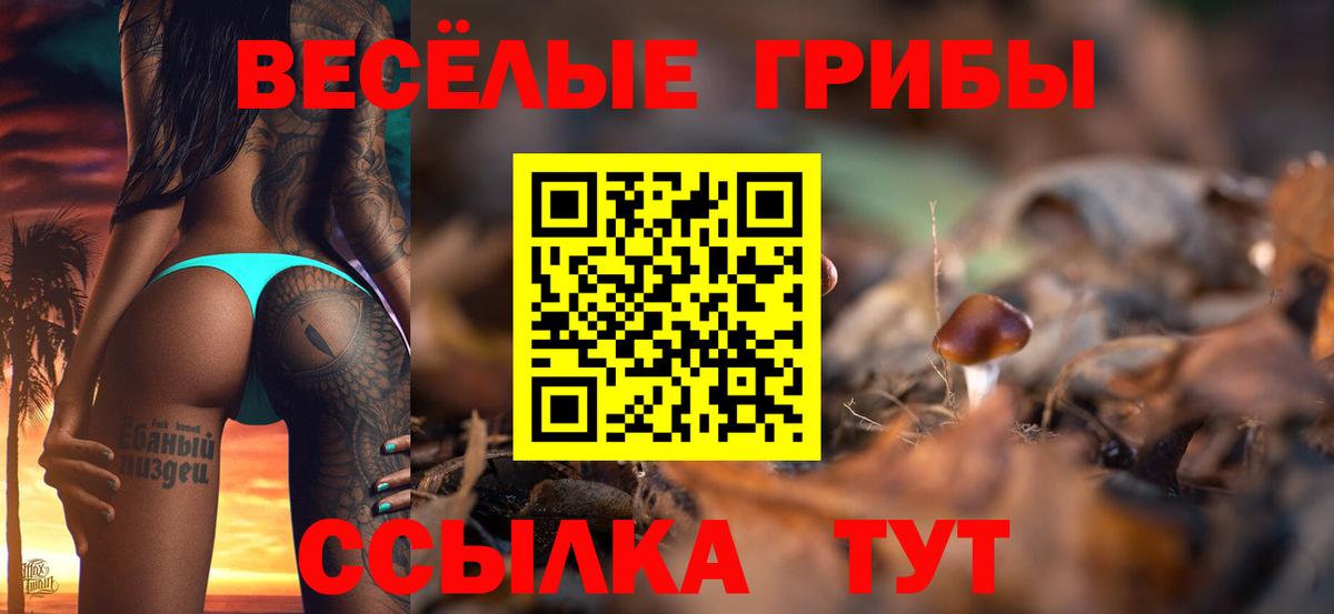 Галлюциногенные грибы GOLDEN TEACHER  Псилоцибиновые грибы мухоморы  Ртищево 